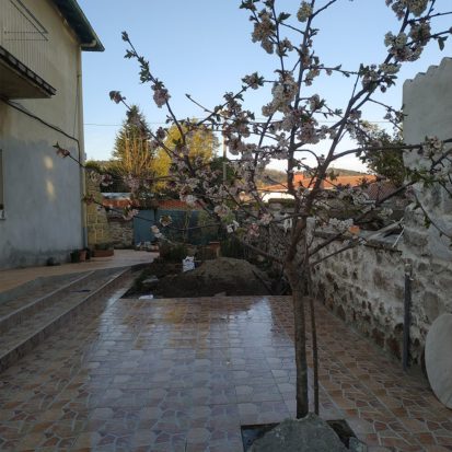 paviberri-033